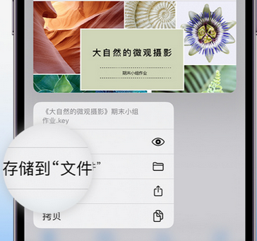 麦积apple维修中心分享iPhone文件应用中存储和找到下载文件