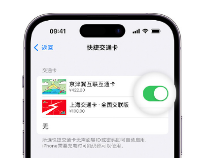 麦积apple维修点分享iPhone上更换Apple Pay快捷交通卡手绘卡面 