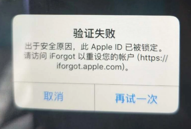 麦积iPhone维修分享iPhone上正常登录或使用AppleID怎么办 