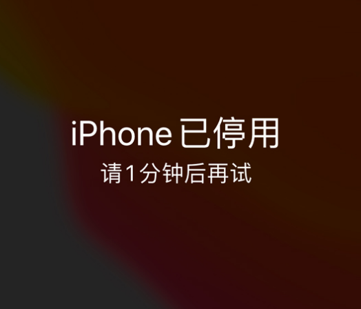 麦积苹果手机维修分享:iPhone 显示“不可用”或“已停用”怎么办？还能保留数据吗？ 