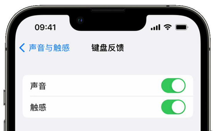 麦积苹果手机维修分享iPhone 14触感键盘使用方法 