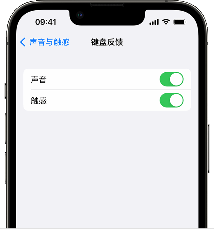 麦积苹果14维修店分享如何在 iPhone 14 机型中使用触感键盘 