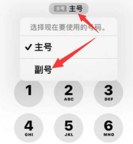 麦积苹果14维修店分享iPhone 14 Pro Max使用副卡打电话的方法 