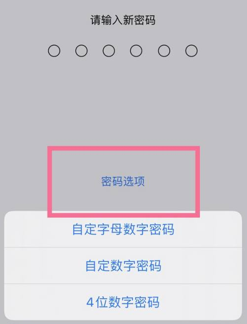 麦积苹果14维修分享iPhone 14plus设置密码的方法 