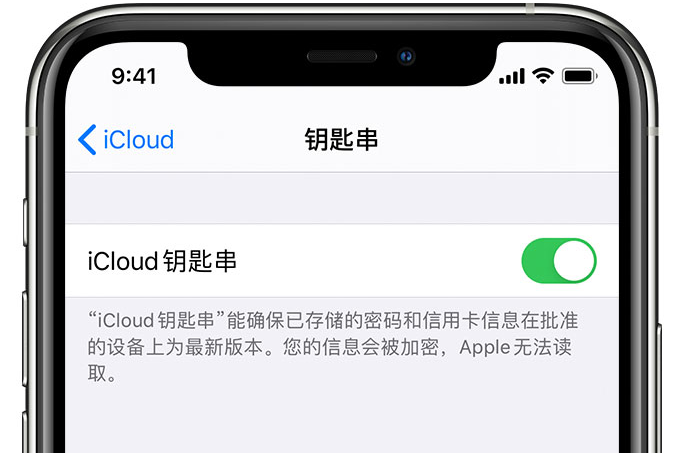 麦积苹果手机维修分享在 iPhone 上开启 iCloud 钥匙串之后会储存哪些信息 